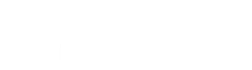Social Savvy Class 101 logo