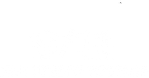 9/11: The Unseen Footage logo