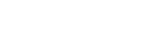 Ms .45 logo
