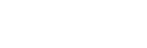 Road Diary - Bruce Springsteen and the E Street Band logo