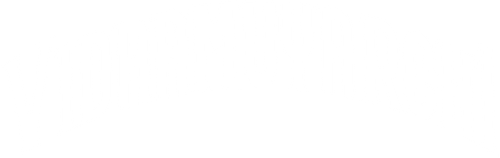 Vidaamuyarchi logo