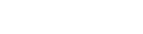 Lighter and Princess logo