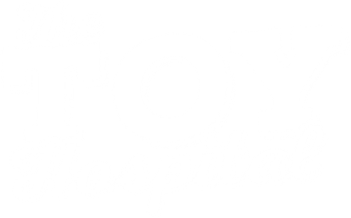 The Toy Hospital logo