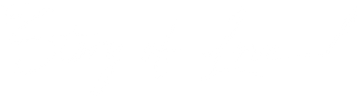 The Story of Love logo