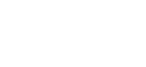 Doctor Stranger logo