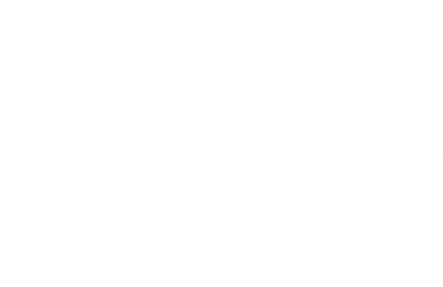 Sister Swap: Christmas in the City logo