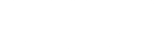 Bleach logo