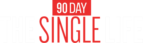 90 Day: The Single Life logo