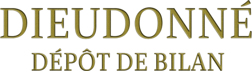 Dieudonné - Dépôt de bilan logo