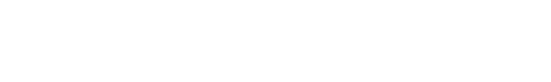Never Twice logo
