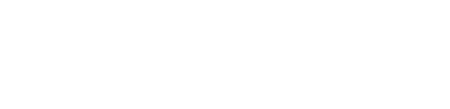 Night and Day logo