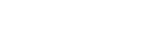 Zuffa Boxing 04 logo
