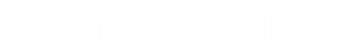 Plan A Plan B logo