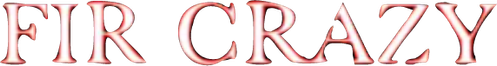 Le Bonheur au pied du sapin logo