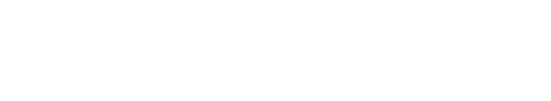 A Successful Calamity logo