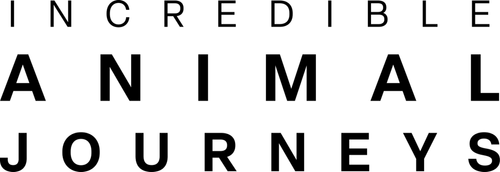 Incredible Animal Journeys logo