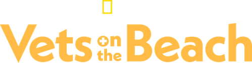 Les vétos de Bondi Beach logo
