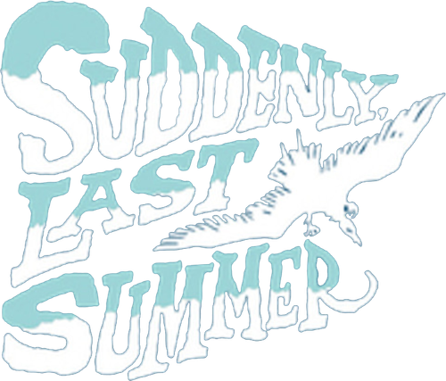 Soudain l'été dernier logo