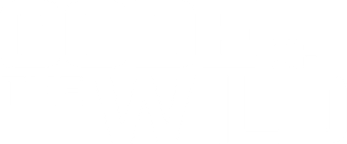 Code of the Wild logo