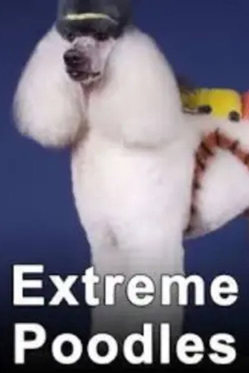 Extreme Poodles