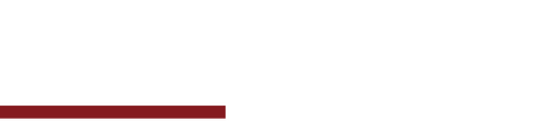 Grey's Anatomy logo