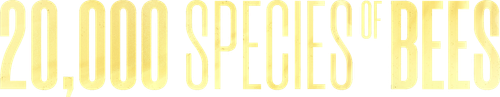 20 000 espèces d'abeilles logo
