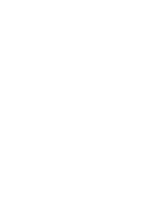 Os Vougas da Ria de Aveiro logo