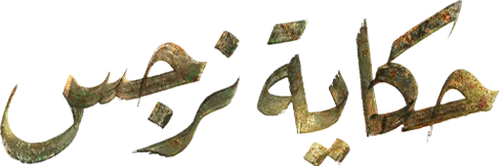 Narges's Story logo