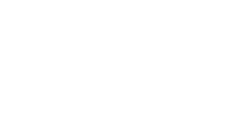 Primal logo