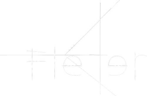 Der Flexer logo