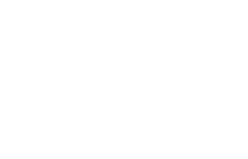 An Almost Ordinary Summer logo