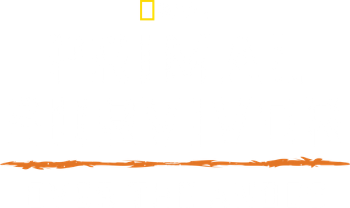 Primal Survivor: Over the Andes logo