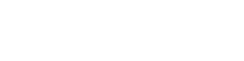 City Hunter logo