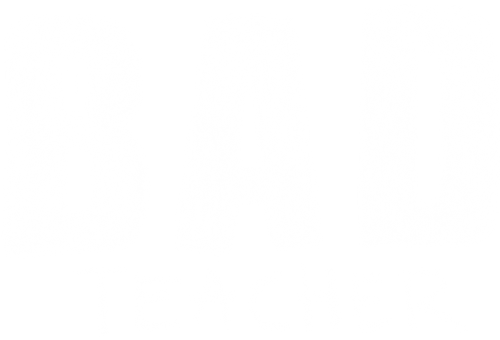 Bad Teacher logo