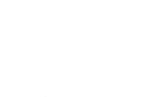 Boss of Hangtown Mesa logo