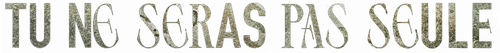 Tu ne seras pas seule logo