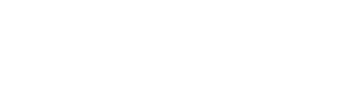Play Girl logo
