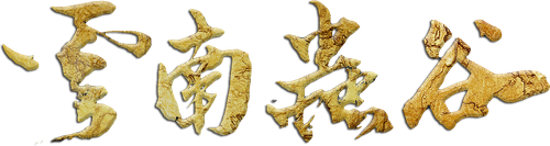 鬼吹灯之云南虫谷 logo