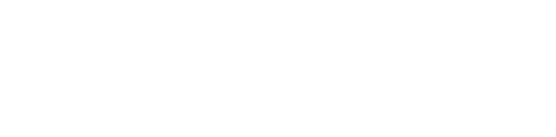 Russia 1985-1999: TraumaZone logo