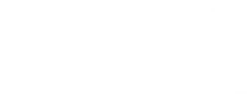 A Stranger in My Home logo