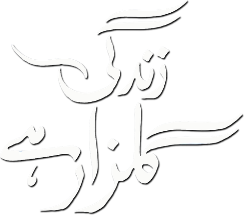 Zindagi Gulzar Hai logo