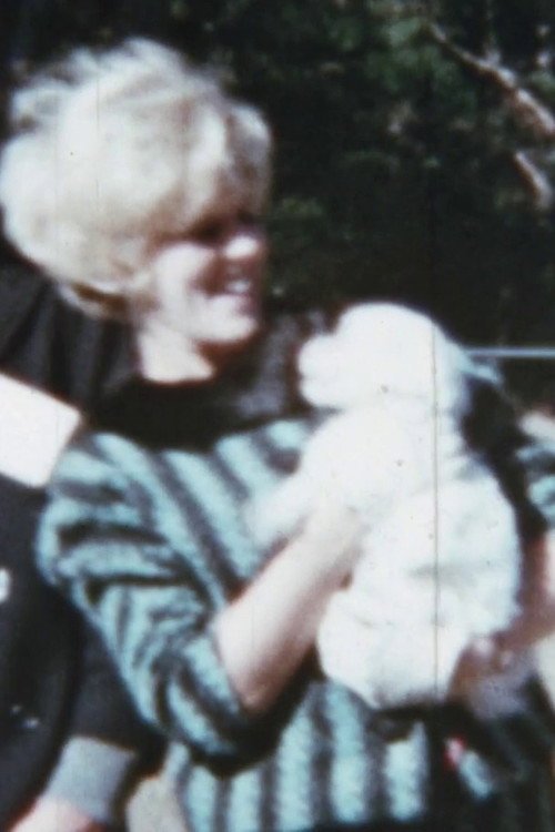 Tiffany Dog Show