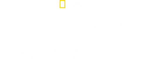 Europe from Above logo