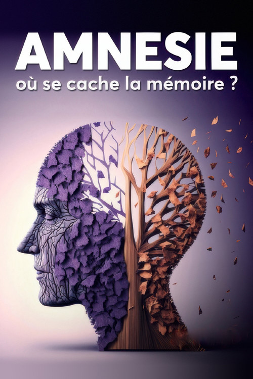 Amnésie : Où se cache la mémoire ?