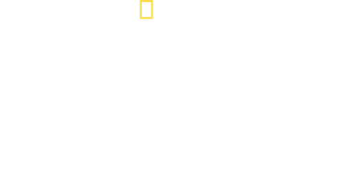 Shark Gangs logo