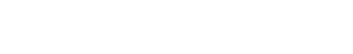 La Nouvelle Nounou logo