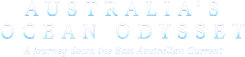 Australia's Ocean Odyssey: A journey down the East Australian Current logo