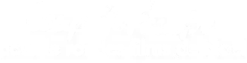 Coup de foudre pour le roi des films de Noël logo