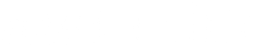 Dash & Lily logo