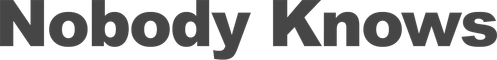 Nobody Knows logo